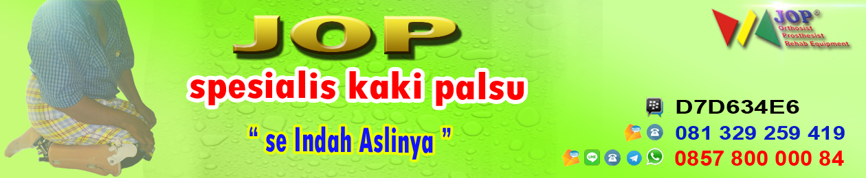 kaki palsu